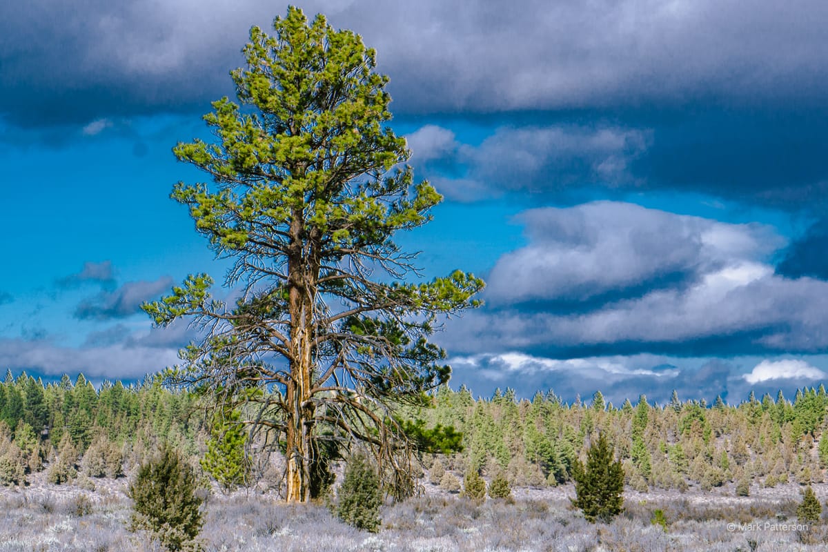 Moon's Gift, Explainer